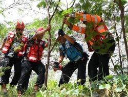 Foto Semen Padang Panen Perdana Kaliandra di Area Reklamasi Bekas Tambang