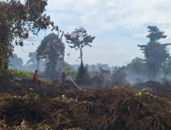 Foto Polresta Pekanbaru Periksa 3 Saksi Terkait Karhutla di Payung Sekaki