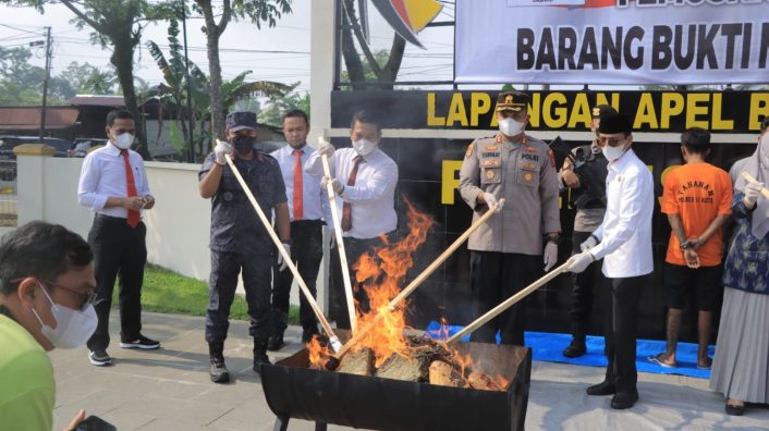 Foto Polres 50 Kota Musnahkan 54,1 Kg  Brang Bukti Ganja