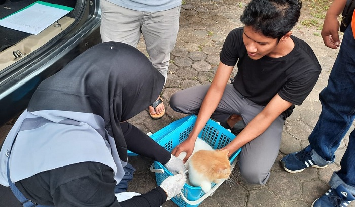 Foto Vaksinasi Rabies di Pauh, 67 Hewan Sudah Divaksinasi