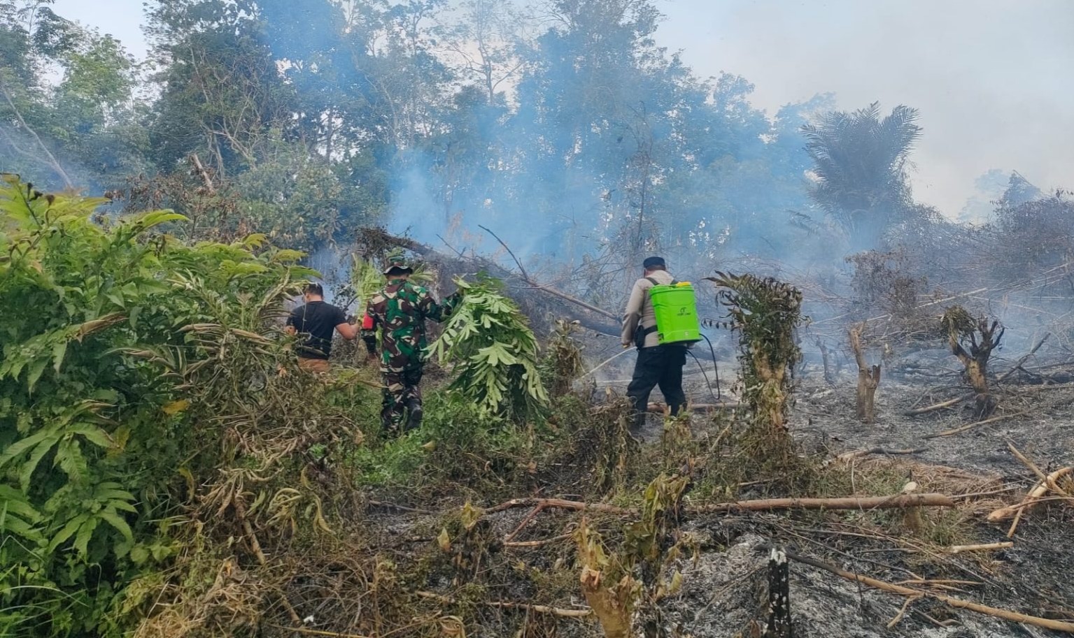 Foto Tim Gabungan di Dharmasraya Padamkan Api di Lahan Sawit Milik Warga