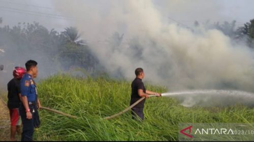 Foto Satpol PP Damkar Agam Padamkan Api di Dekat Pemukiman Warga