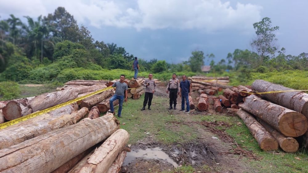 Foto Polisi Amankan 215 Tual Kayu Illog di Desa Kuntu Darussalam Kampar