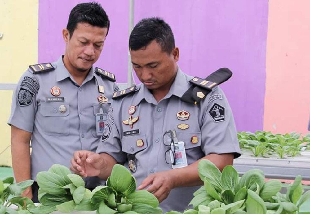 Foto Lapas Kelas II A Pekanbaru Pasarkan Sayur Tanaman Hidroponik