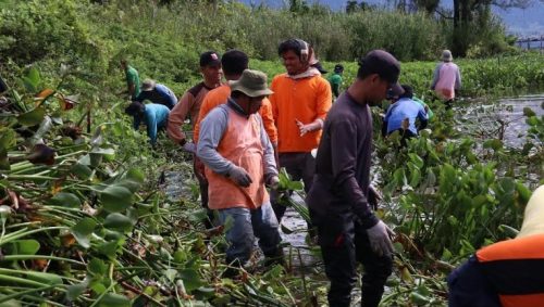 Foto Pemkab Agam Lanjutkan Goro Save Maninjau yang ke-4