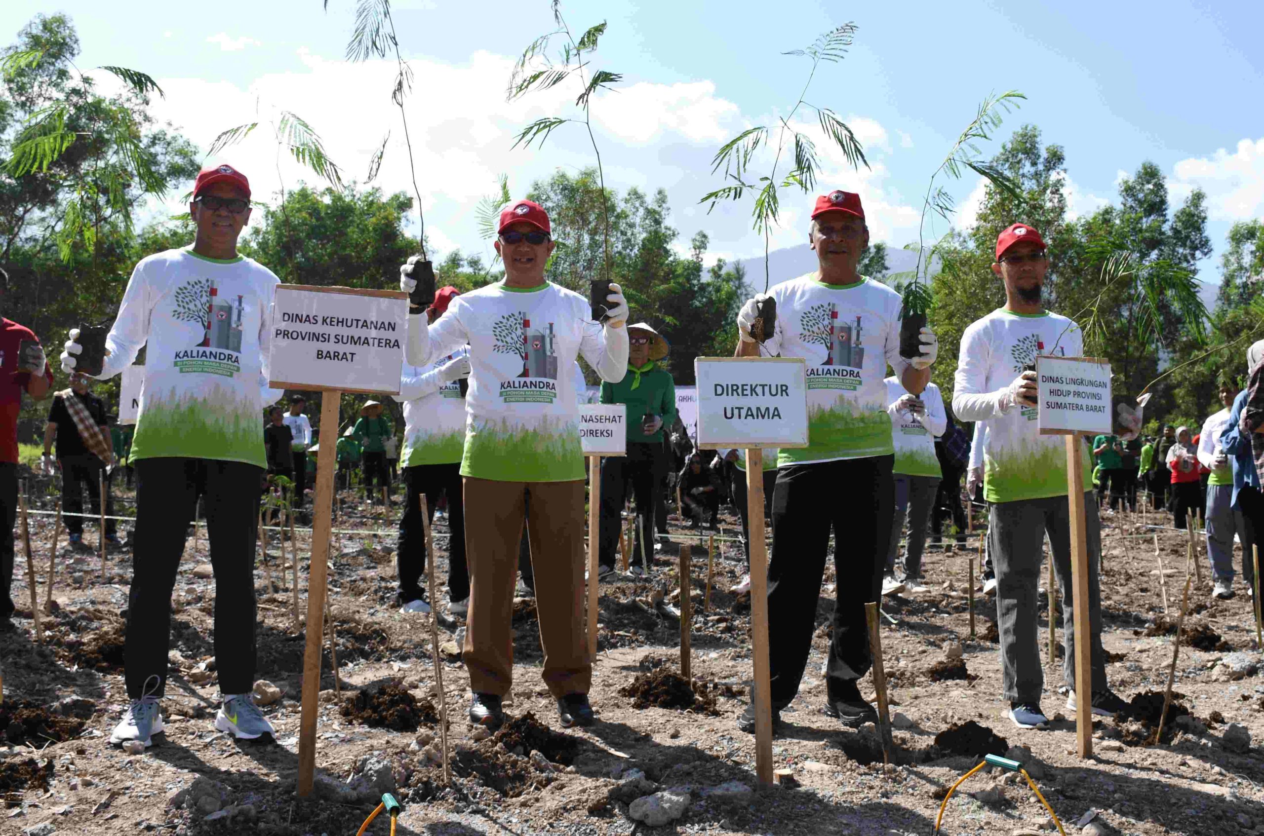 Foto Targetkan Substitusi Batu Bara, Semen Padang Tanam 2.000 Kaliandra