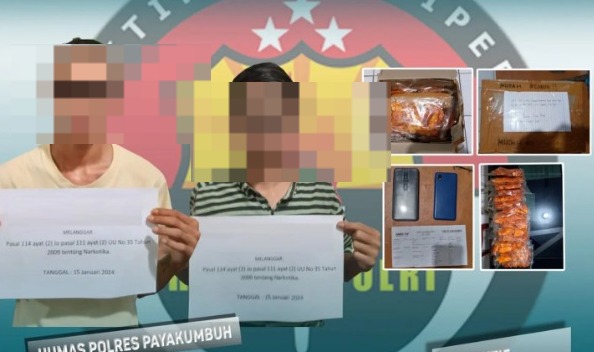 Foto Dua Pengedar Ganja Ditangkap di Payakumbuh