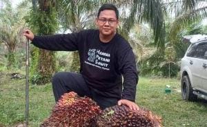 Foto Harga Kelapa Sawit Mitra Swadaya di Riau Naik Lagi