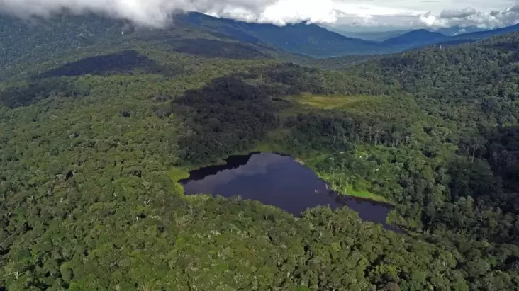 Foto Indonesia Berhasil Turunkan Taraf Deforestasi hingga 65%