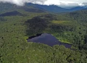 Foto Indonesia Berhasil Turunkan Taraf Deforestasi hingga 65%