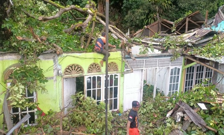 Foto Pohon Tumbang Timpa Empat Rumah di Padang