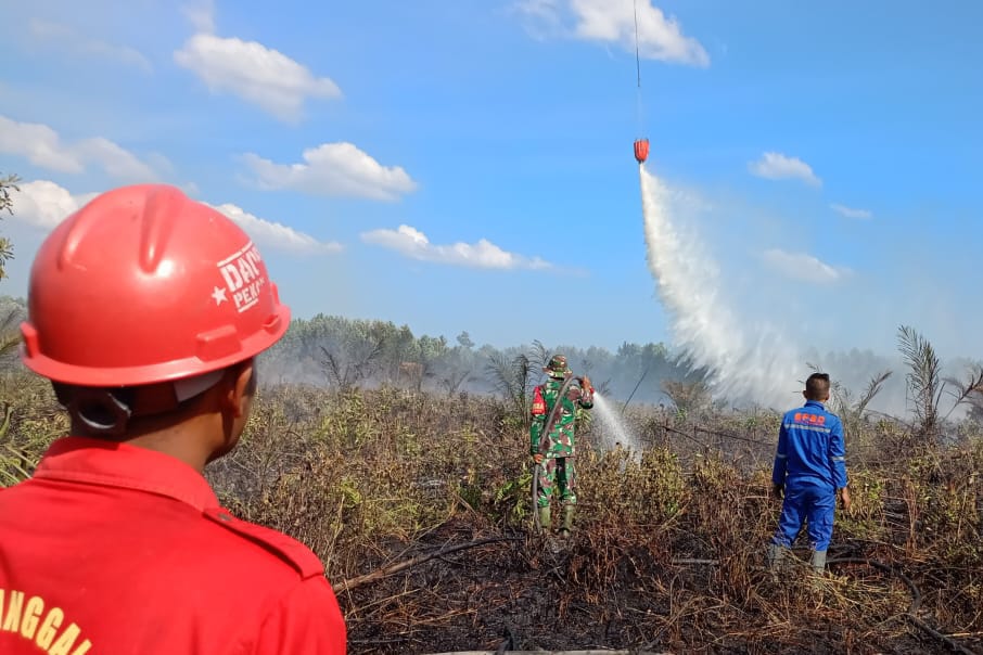 Foto Total Luas Lahan Terbakar di Riau 19,10 Hektare Terhitung Mulai Januari