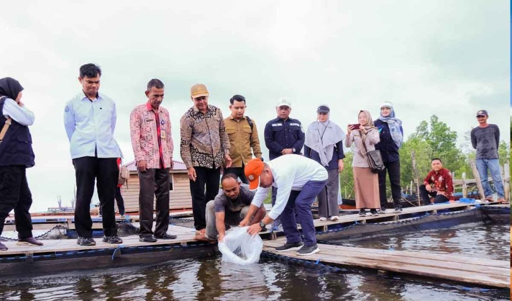Foto 1.000 Benih Kakap Putih Ditebar di Kepulauan Meranti Riau