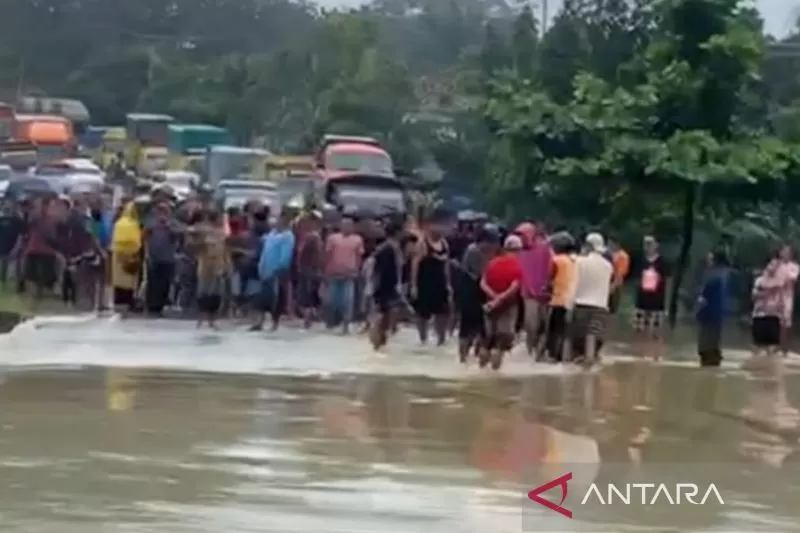 Foto Jalan Sumbar - Jambi Lumpuh Akibat Banjir
