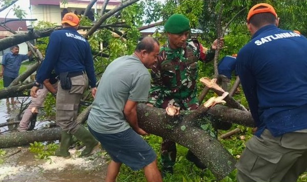 Foto Cuaca Ekstrem di Padang, Sejumlah Pohon Tumbang