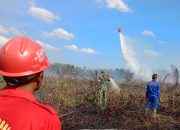 Foto Total Luas Lahan Terbakar di Riau 19,10 Hektare Terhitung Mulai Januari