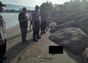 Foto Nelayan Temukan Orok di Pantai Muaro Ulak Karang