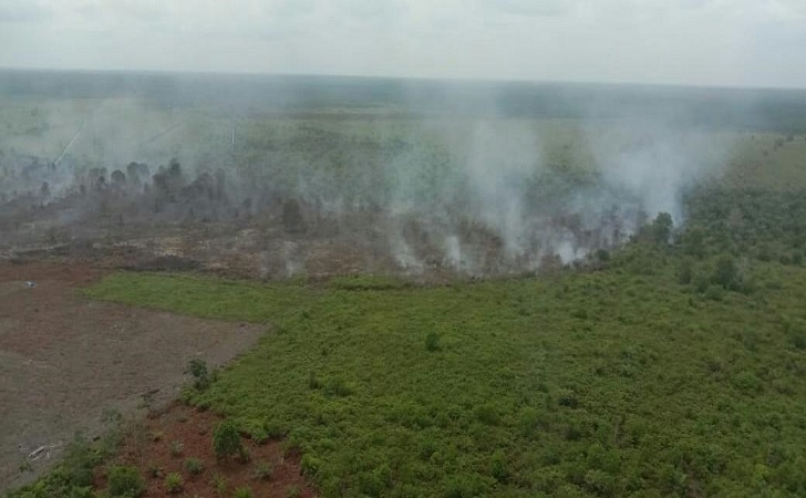 Foto Karhutla di Bengkalis Capai 34,33 Hektare, Status Siaga Darurat Ditetapkan