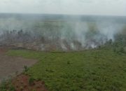 Foto Karhutla di Bengkalis Capai 34,33 Hektare, Status Siaga Darurat Ditetapkan