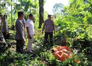 Foto Warga Pasaman Barat Ditemukan Meninggal Dunia di Kebun Sawit