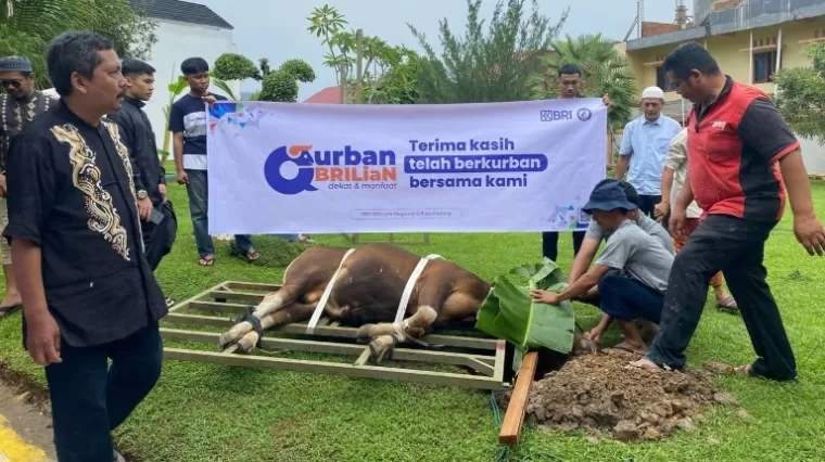 Proses kurban di Corporate University BRI, Kota Padang. (ist)