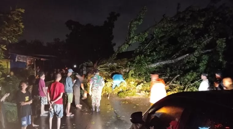 Padang Hujan Badai, Banyak Pohon Tumbang