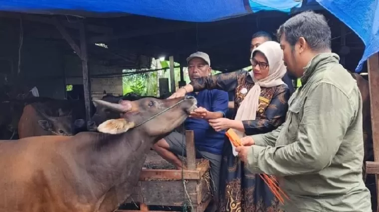 Petugas dari Dinas Pertanian cek kondisi sapi kurban. (kominfo)