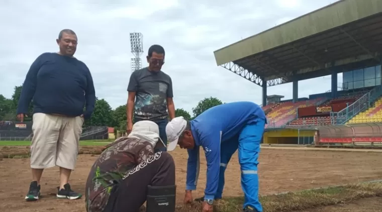 MULAI TANAM- Rumput jenis Zoysia Matrella untuk lapangan Stadion H. Agus Salim, Padang, Sabtu (22/6/2024) pagi mulai ditanam. (dede amri)