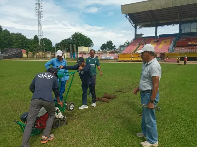 KELUPAS- Supomo Hariyadi memeriksa rumput Stadion H. Agus Salim, Padang yang sudah dikelupas pekerja, Minggu (16/6/2024) pagi. (dede amri)