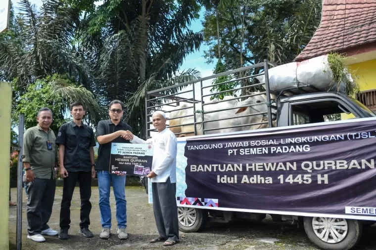 Kepala Unit CSR PT Semen Padang Dedi M Siddiq menyerahkan bantuan sapi kurban kepada Ketua KAN Limau Manis Zulkifli Dt Ri Gumayang, Sabtu (15/6/2024).Ist