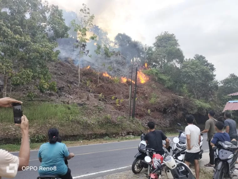 Kebakaran lahan di Palembayan