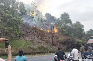 Kebakaran lahan di Palembayan