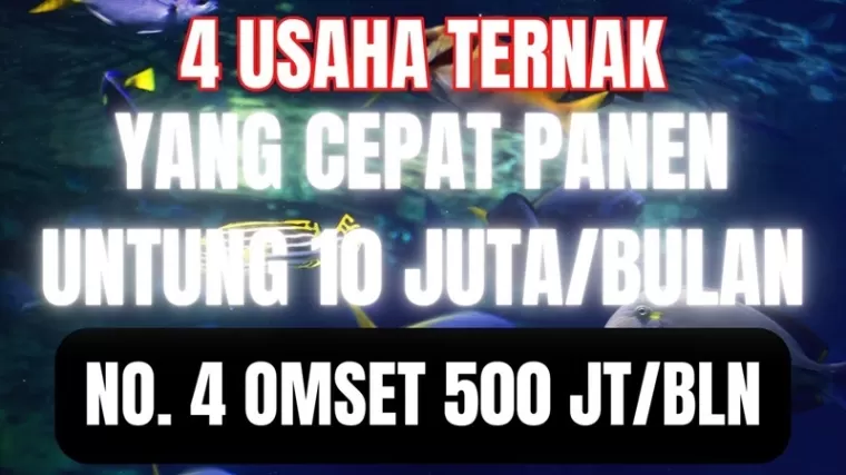 Ilustrasi ide usaha ternak cuan banyak.(Foto: kanal Youtube Inspirasi Pagi)