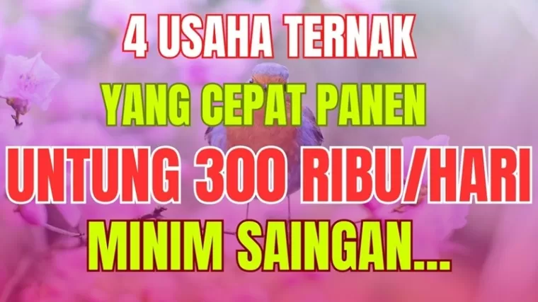 Ilustrasi ide usaha ternak cepat panen 2024. (Foto: kanal Youtube Inspirasi Pagi)