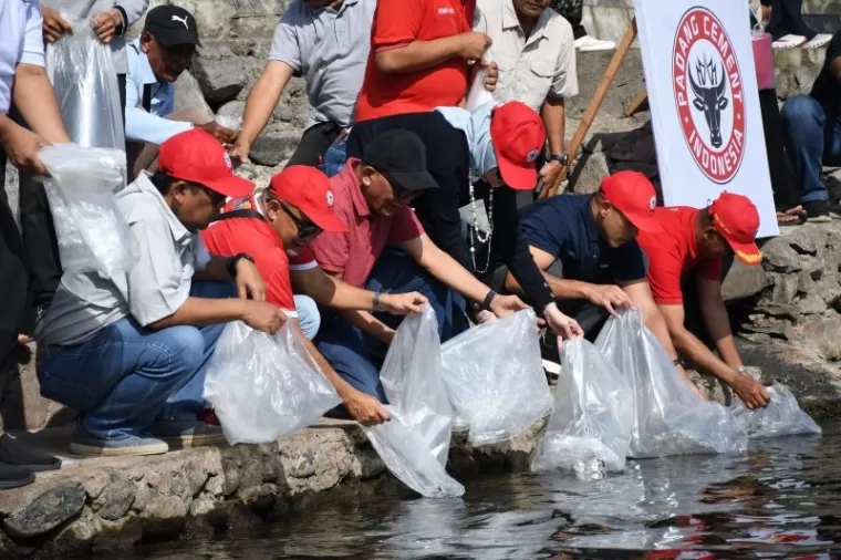 Direktur Utama (Dirut) PT Semen Padang, Indrieffouny Indra melepas ribuan ikan bilih di tepian Masjid Al-Furqan, Sabtu (10/8).ist