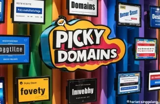 Ilustrasi Website Penghasil Uang, Picky Domains (foto: Ideogram AI)