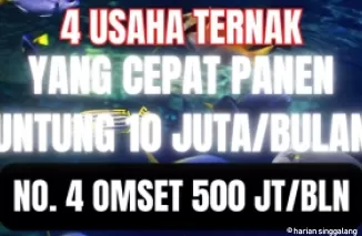 Ilustrasi ide usaha ternak cuan banyak.(Foto: kanal Youtube Inspirasi Pagi)