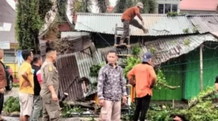 Puluhan Pohon Tumbang Akibat Hujan dan Badai di Padang