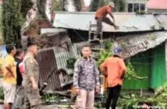 Puluhan Pohon Tumbang Akibat Hujan dan Badai di Padang