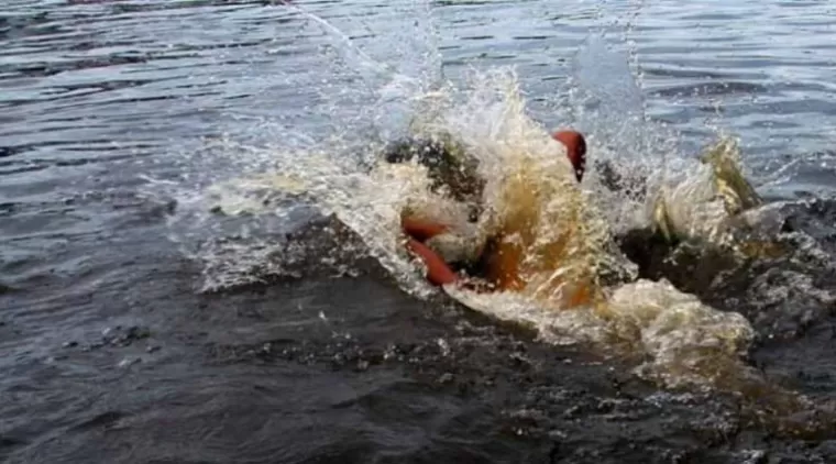 Batang Malakutan Menelan Korban, Catur Bima Tenggelam di Lubuk Dalam