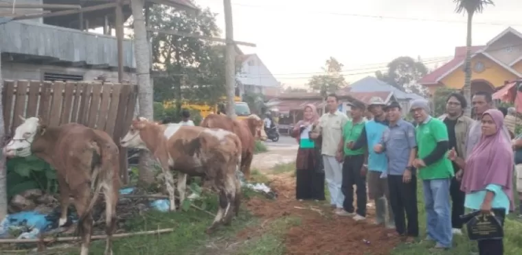 Populasi Ternak Berkembang di Sumbar, Tahun Ini 100 Sapi Diberikan ke Keltan