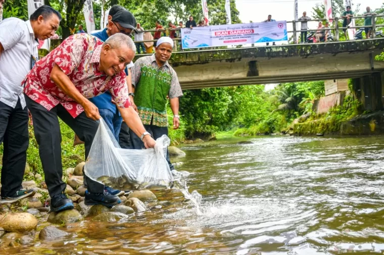 Direktur Keuangan &amp; Umum PT Semen Padang, Oktoweri tebar bibit gariang di Lubuk Larangan, Kelurahan Tarantang, Kecamatan Lubuk Kilangan, Selasa (1/10/2024).Ist