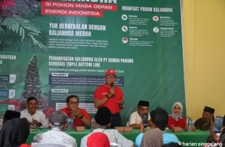 Dirut PT Semen Padang, Indrieffouny Indra, panen perdana bibit kaliandra di nursery Hutan Kemasyarakatan (HKm) Sialangan, Korong Pasa Padang Alai, Nagari Gunuang Padang Alai, Kecamatan V Koto Timur, Kabupaten Padang Pariaman, Jumat (25/10/2024).Ist