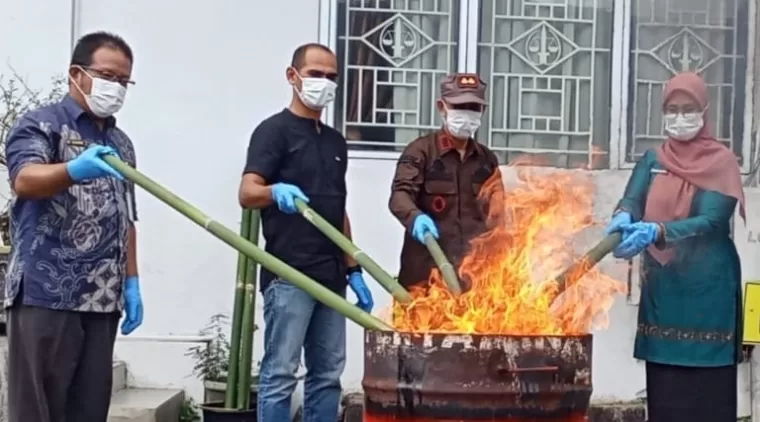 Kejari Sawahlunto Musnahkan Ganja dan Sabu