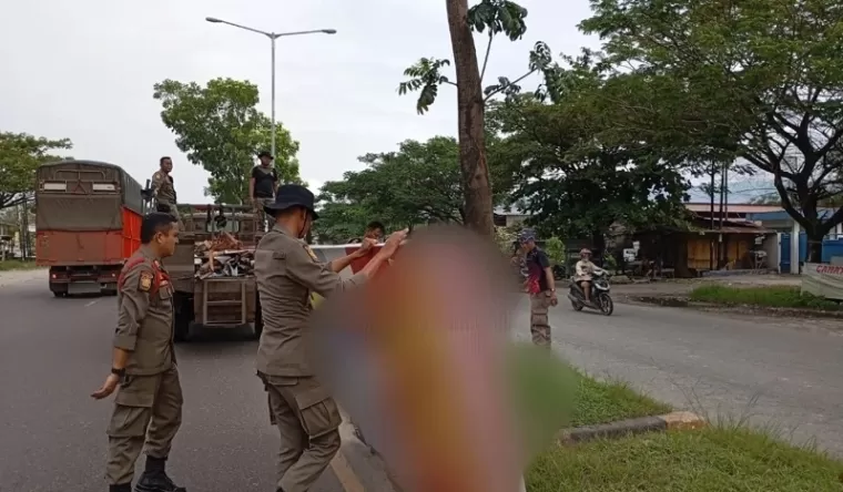 Masa Tenang, Pol PP Padang Bersihkan Bahan dan Alat Peraga Kampanye yang Masih Terpasang