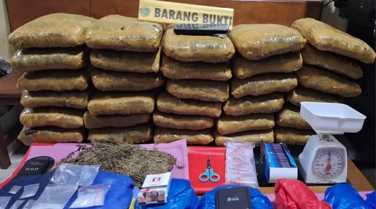 Polres Pasbar Amankan 30 Kg Ganja dari Dua Tersangka