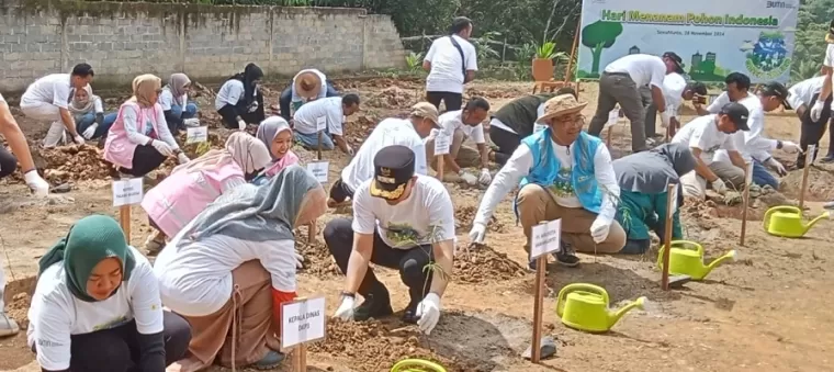 Manager PT PLN Indonesia Power UBP Ombilin I Nyoman Buda dan penjabat Walikota Sawahlunto lainnya tengah menanam pohon bioenergi (kaliandra).(armadison)