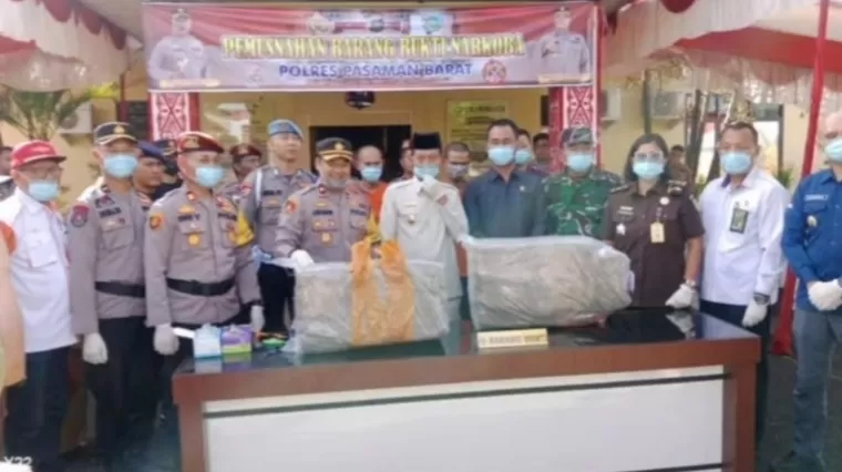 Tegas! Polres Pasbar Musnahkan 30 Kg Ganja Kering di Hadapan Tersangka