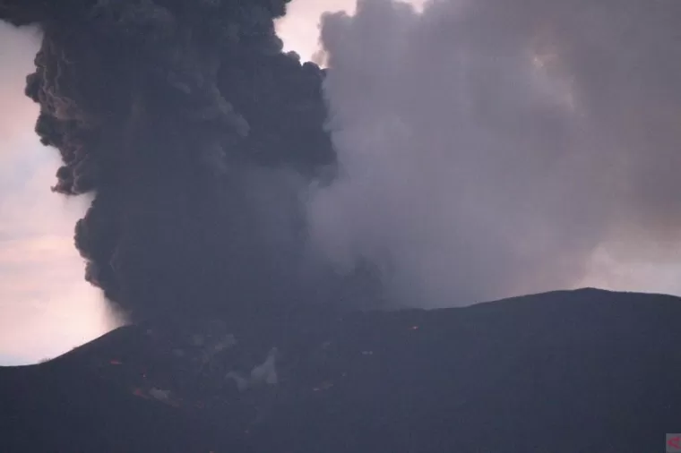 Warga khawatir Hewan Gunung Marapi Turun ke Permukiman