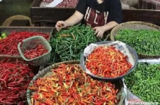 Di Padang Panjang, Cabai dan Berbagai Jenis Bawang Turun Harga